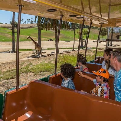 San Diego Zoo and Safari Park 2-Visit Pass Ticket