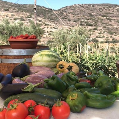 Wine Tasting and Tour in Saint Anna Winery in Naxos
