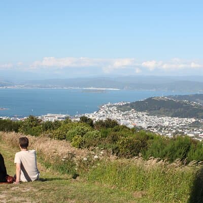 Wellington Scenic Full Day Tour