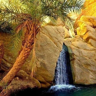 The Tunisian South between Oasis and Mountain: 3 Days / 2 Nights Douz and Tozeur
