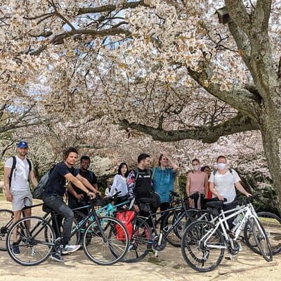 Nara - Heart of Nature Cross Bike Tour