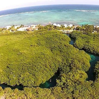 Discovering Breathtaking Cenotes in Tulum