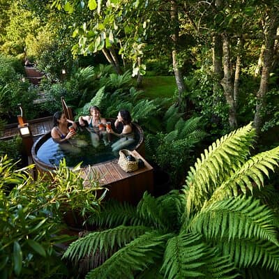 Rotorua Forest Hot Tub Soak at Secret Spot