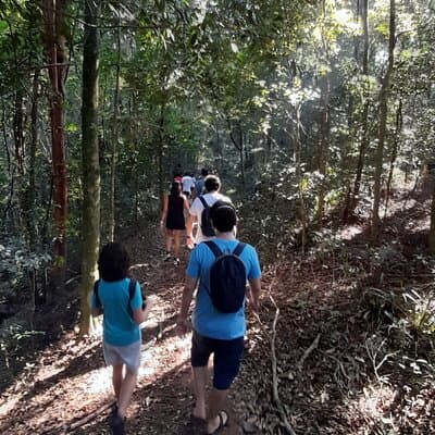 Tijuca National Park and all its wonders