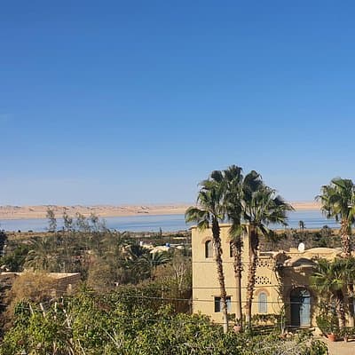 Private tour El Fayoum Oasis and Wadi Rayan waterfall from Cairo