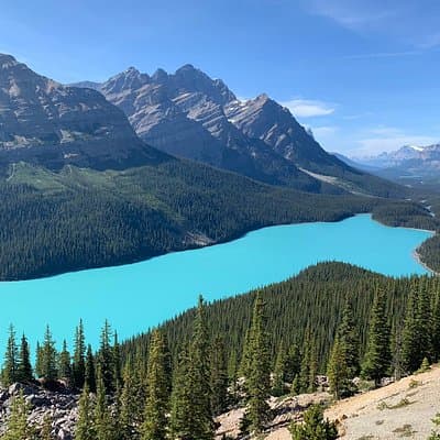 Lake Louise, Moraine Lake and the Icefields Parkway Full-Day Tour