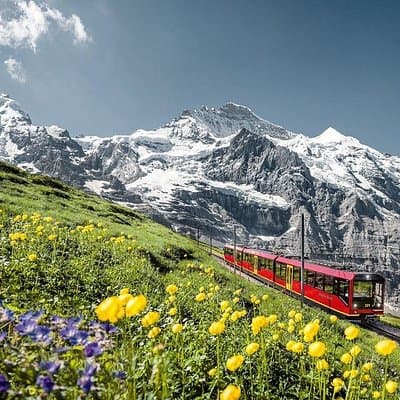Jungfraujoch Top of Europe Day Trip from Interlaken