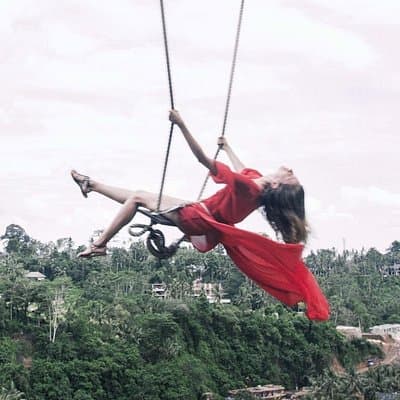 Jungle Swing - Volcano - Water Temple - Monkey Forest and Waterfall Tour