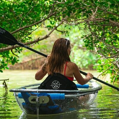 Clear Kayak Tour of Shell Key Preserve and Tampa Bay Area