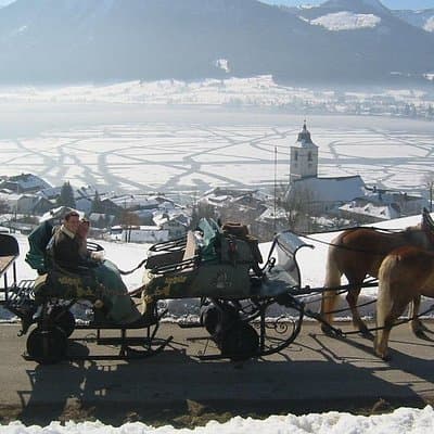 Private Horse-Drawn Sleigh Ride from Salzburg