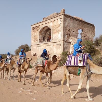 Essaouira Camel Ride, Quad Bike & Buggy Adventure