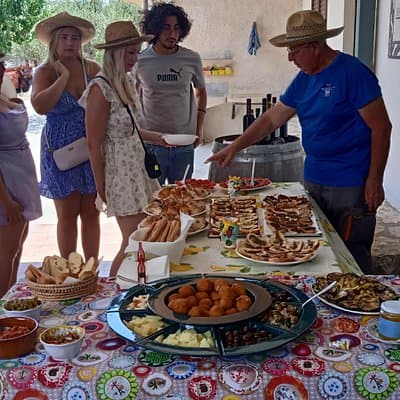 Vineyard Tour, Wine and Sicilian delicacies tasting at a Winery in Agrigento