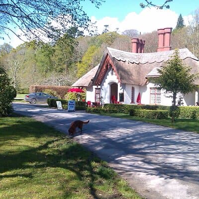 Guided Killarney National Park Walking Tour