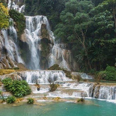 Private Tour: Pak Ou Cave and Kuang Si Waterfall Tour from Luang Prabang