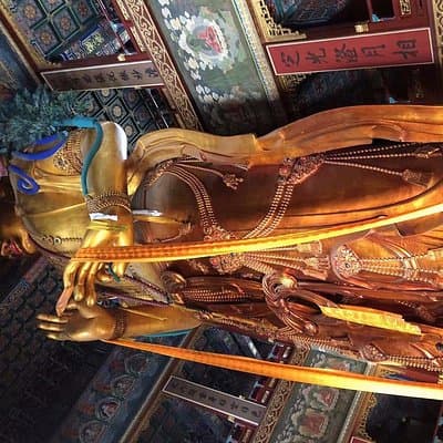 Beijing Half Day Tour : Temple of Heaven with Lama Temple