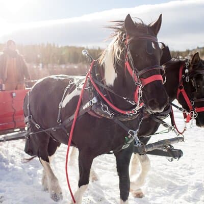 Christmas Horse-Drawn Sleigh/Carriage Ride from Salzburg