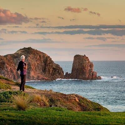 Full-Day Phillip Island Tour with Kangaroo, Koala and Penguin Parade