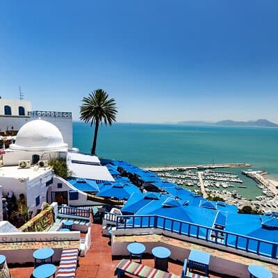Carthage, Bardo Museum, Sidi Bou Said and Medina Private Day Tour