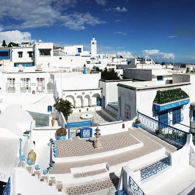 Tunis Group Tour: Carthage, Sidi Bou Said, Bardo museum & Medina