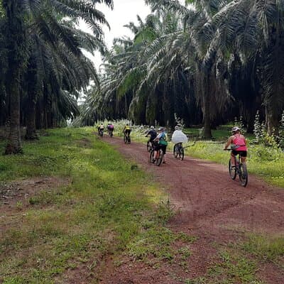 Countryside Cycling Tour. T1.0 by Matahari