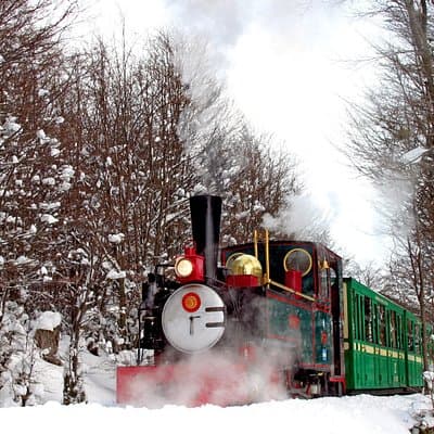 Half-Day Tierra del Fuego National Park with Train
