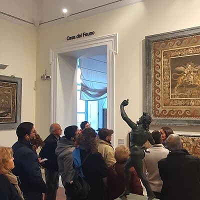 Private Tour of the National Archaeological Museum of Naples