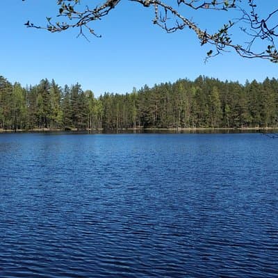 Half Day Hiking Tour in Beautiful Estonian Nature