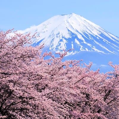Mt Fuji and Hakone 1-Day Bus Tour Return by Bullet Train