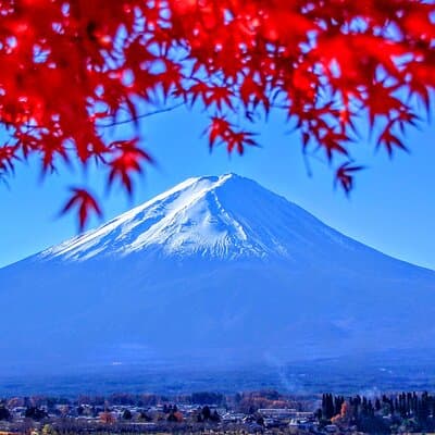 Mt Fuji and Hakone 1-Day Bus Tour Return by Bullet Train