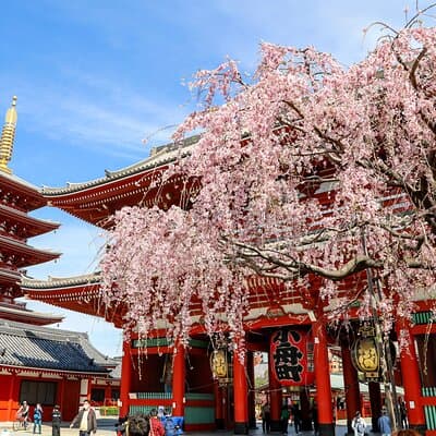 1-Day Tokyo Bus Tour