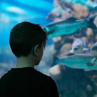 Corfu Aquarium Ticket with Tour Included