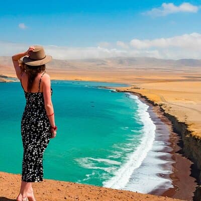 2 Day Tour from Lima: Paracas, Ballestas Island and Huacachina