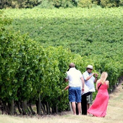 Pizzorno Winery Lunch and Tasting