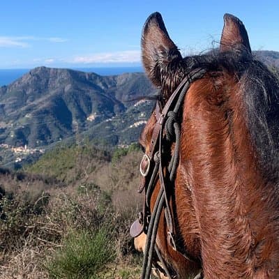 Horse ride on the coast of Monterosso al Mare Cinque Terre