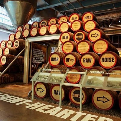 Guinness Storehouse: Entry ticket + Perfect Pint Pub Tour