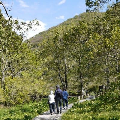 Easygoing Nature Walk in Hakone Tour