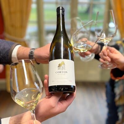 Burgundy Grand Crus Route Day Tour - 14 Wines Tastings in Domains
