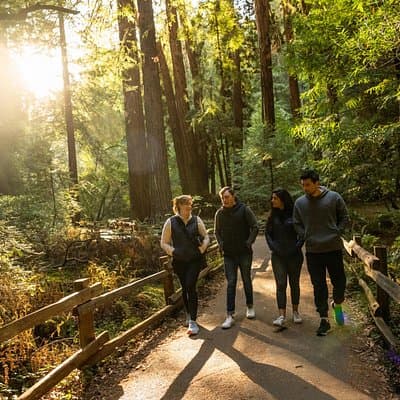 San Francisco to Muir Woods Shuttle