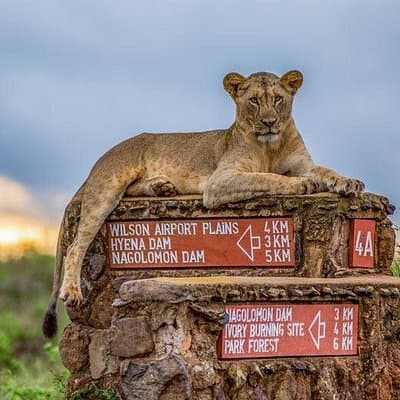 Private Tour to Nairobi National Park and the Karen Blixen Museum