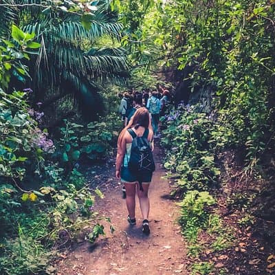 Full Day Rainforest Tour with Tasting and Swimming Time ツ