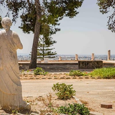Private Walking Tour of Carthage Archaeological Site in Tunisia