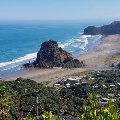 Piha Waitakere Rainforest Wine Tour from Auckland