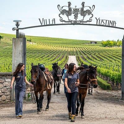 Half-Day of Horseback Adventure with Wine Tasting