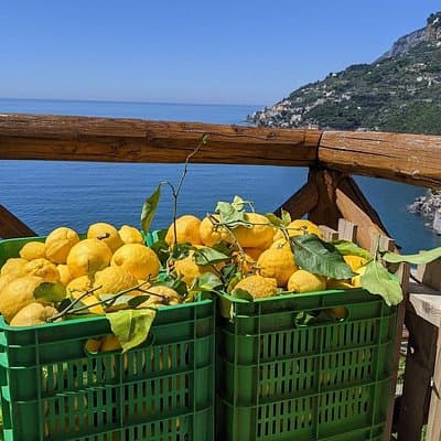 Amalfi Coast - Maiori: Path of Lemons Tour with Tasting