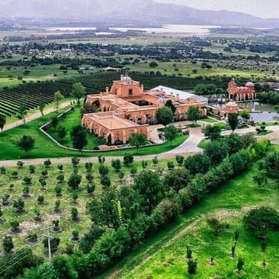 Vineyard, tour, tasting and fun in San Miguel de Allende