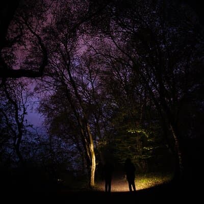 Night Tour in Hoia Baciu Forest
