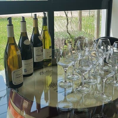 Private Tasting in Beaune : The Best of Burgundy Wines