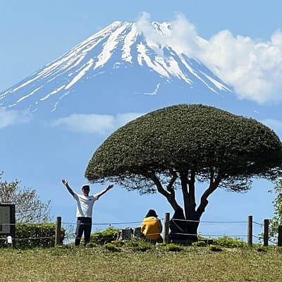 Hike Japan Heritage Hakone Hachiri with certified mountain guide
