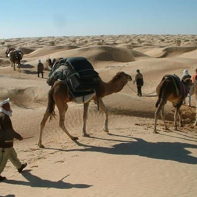 2-Day Tunisian Sahara Tour with Food & Stay from Hammamet