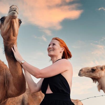 Overnight Desert Safari with BBQ Dinner & Breakfast Abu Dhabi